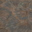 Vliestapete Guido Maria Kretschmer '10373-47 Fashion for Walls 4' Floral anthrazit 0,53 x 10,05 m