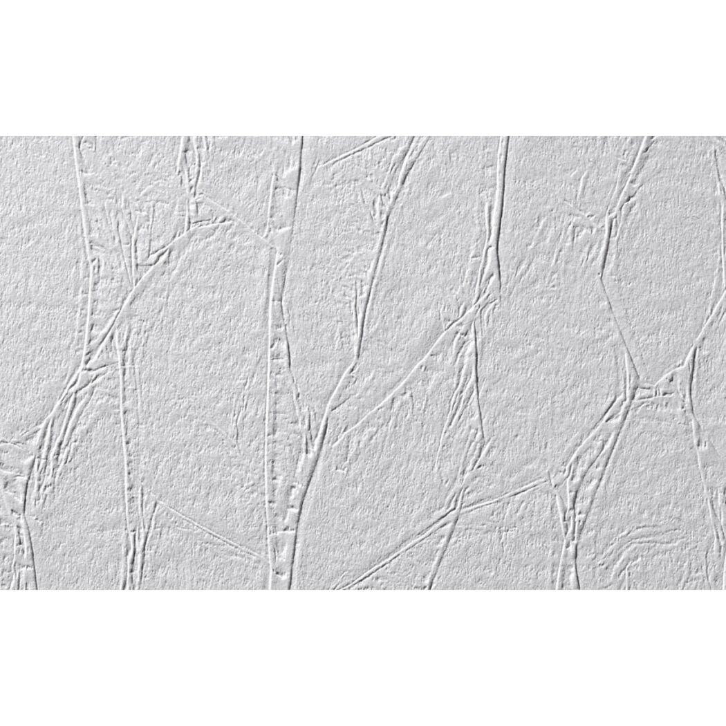 Weiße Vliesfasertapete mit Prägung
