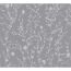 Graues Muster mit Pflanzen-Silhouetten