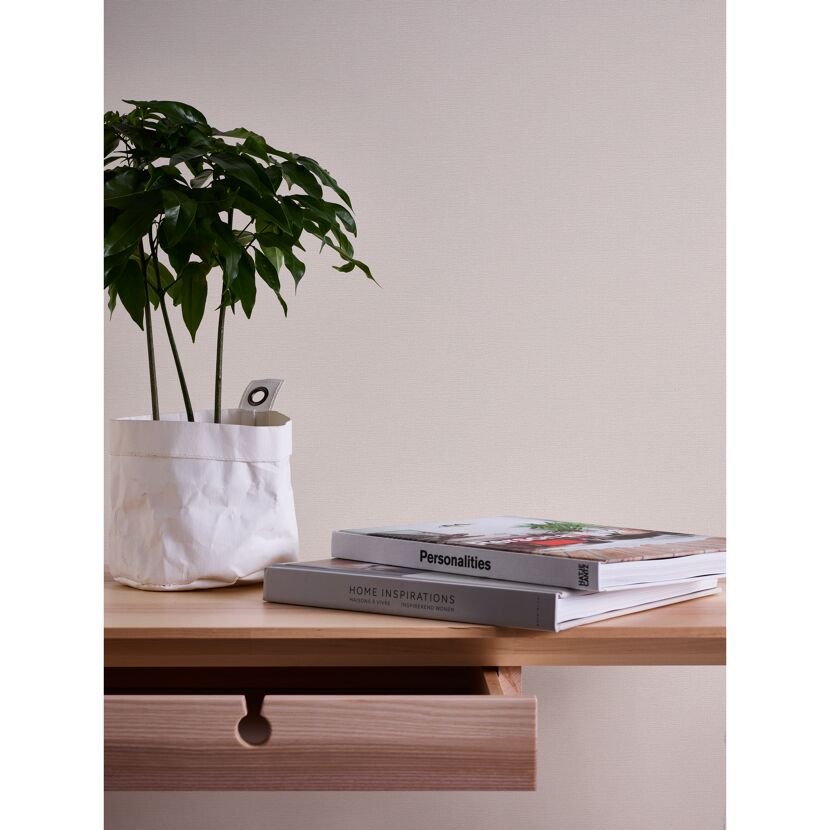 Holztisch mit Pflanze und Büchern