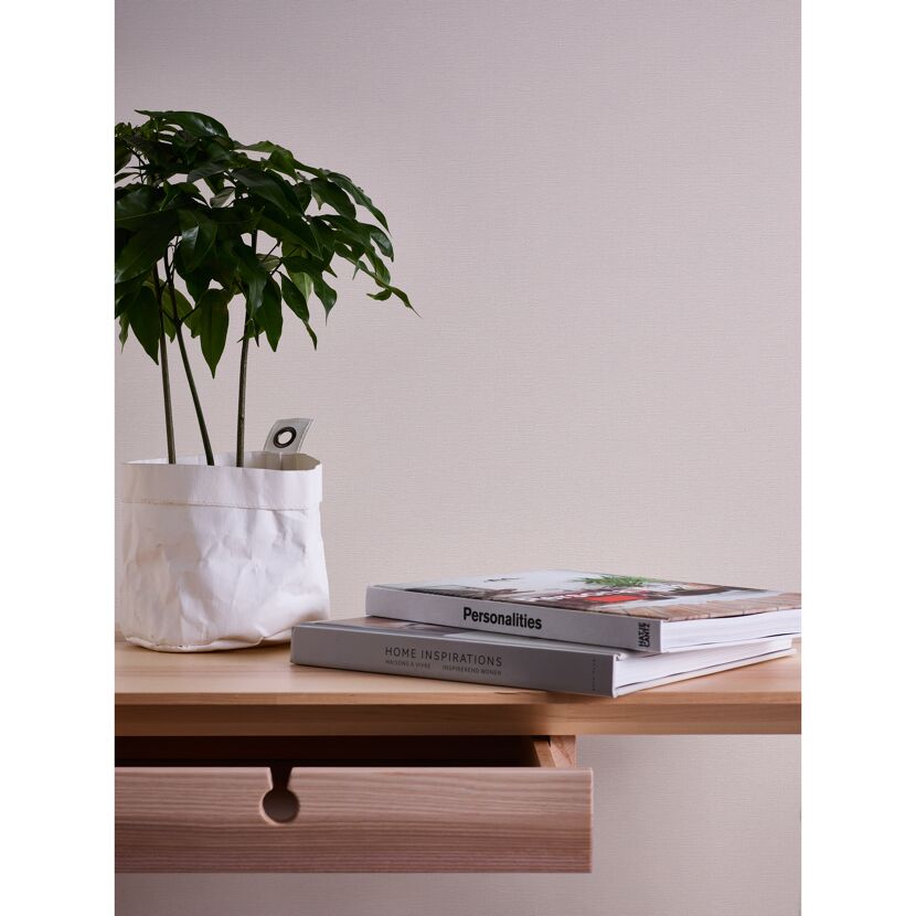 Tisch mit Pflanze und Büchern