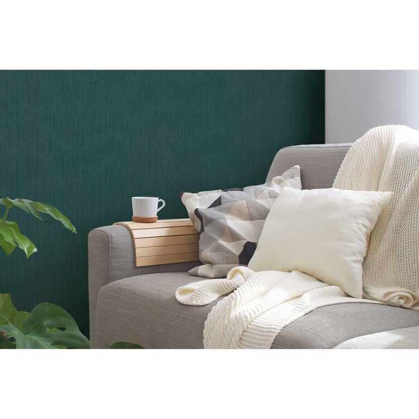 Sofa mit Kissen und Decke vor grüner Wand