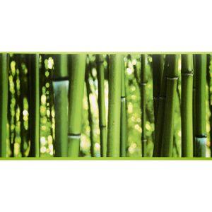 SK-Borte "Bambus" grün 17,7 cm