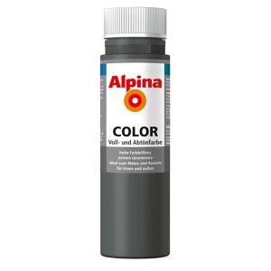 Color Voll- und Abtönfarbe 'Dark Grey' seidenmatt 250 ml