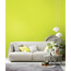 Verkleinertes Bild von Trendfarbe 'Fresh' apfelgrün matt 50 ml