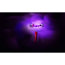 Verkleinertes Bild von Trendfarbe 'Lounge' purpurviolett matt 1 l