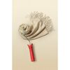 Trendfarbe 'Cashmere' beige matt 2,5 l