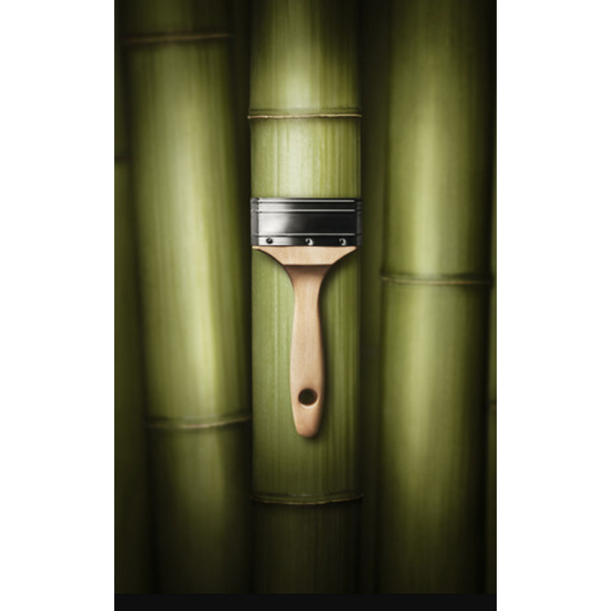 Trendfarbe 'Bamboo' grün matt 2,5 l + product picture