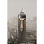 Verkleinertes Bild von Trendfarbe 'Manhattan' grau matt 2,5 l