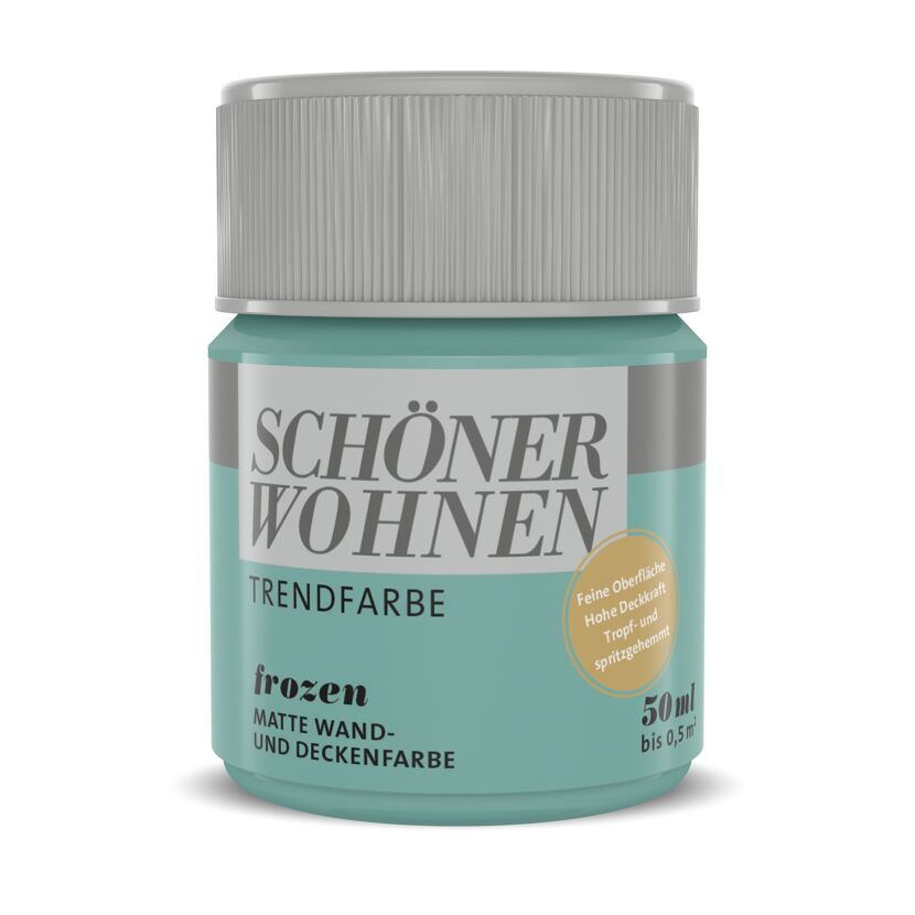 SCHÖNER WOHNEN Trendfarbe frozen, 50 ml
