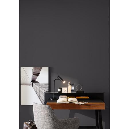 6. Bild von Trendfarbe 'Luna' schwarzgrau matt 1 l