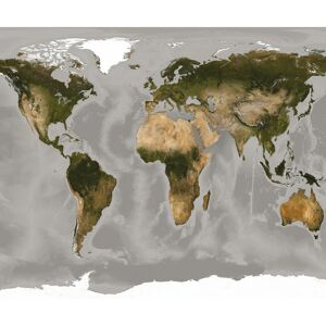Vlies-Panel 'World Map'