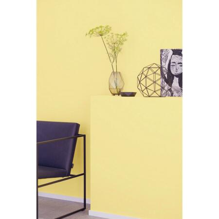 4. Bild von Trendfarbe 'Vanilla' gelb matt 2,5 l