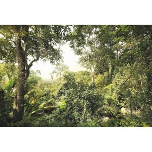Vliesfototapete 'Dschungel' 368 x 248 cm