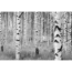 Verkleinertes Bild von Vliesfototapete 'Woods' 368 x 248 cm