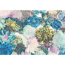 Verkleinertes Bild von Fototapete 'Frisky Flowers' 368 x 254 cm