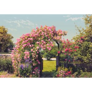 Fototapete 'Rose Garden' 368 x 254 cm