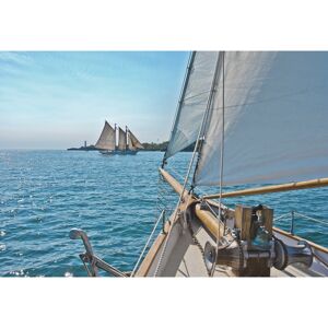 Fototapete 'Sailing' 368 x 254 cm