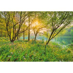 Fototapete 'Spring Lake' 368 x 254 cm
