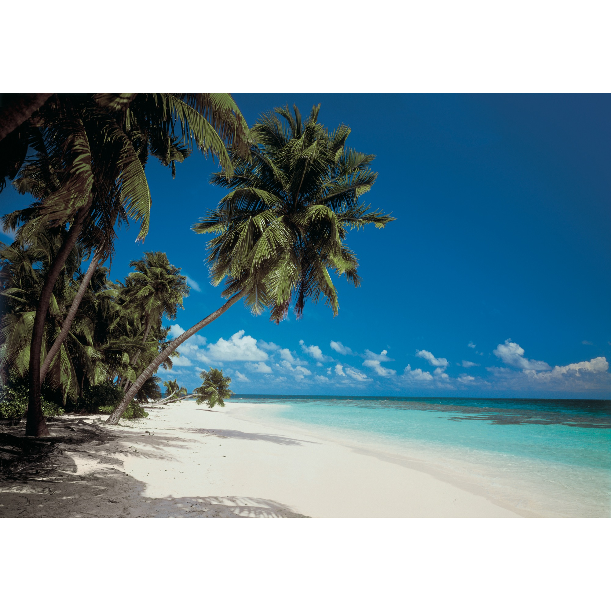 Fototapete 'Maledives' 388 x 270 cm + product picture