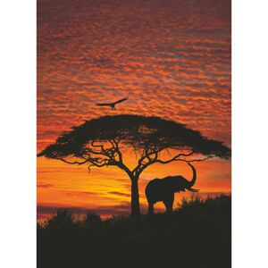 Fototapete 'African Sunset' 194 x 270 cm