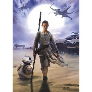 Fototapete 'Star Wars Rey' 184 x 254 cm