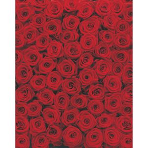 Fototapete 'Roses' 194 x 270 cm