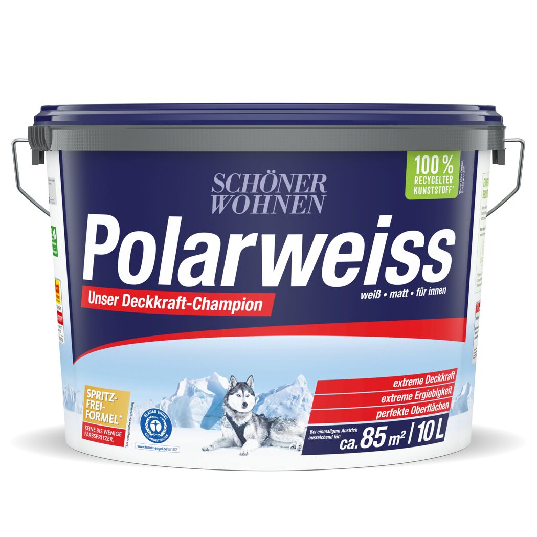 Wandfarbe 'Polarweiß' matt 10 l
