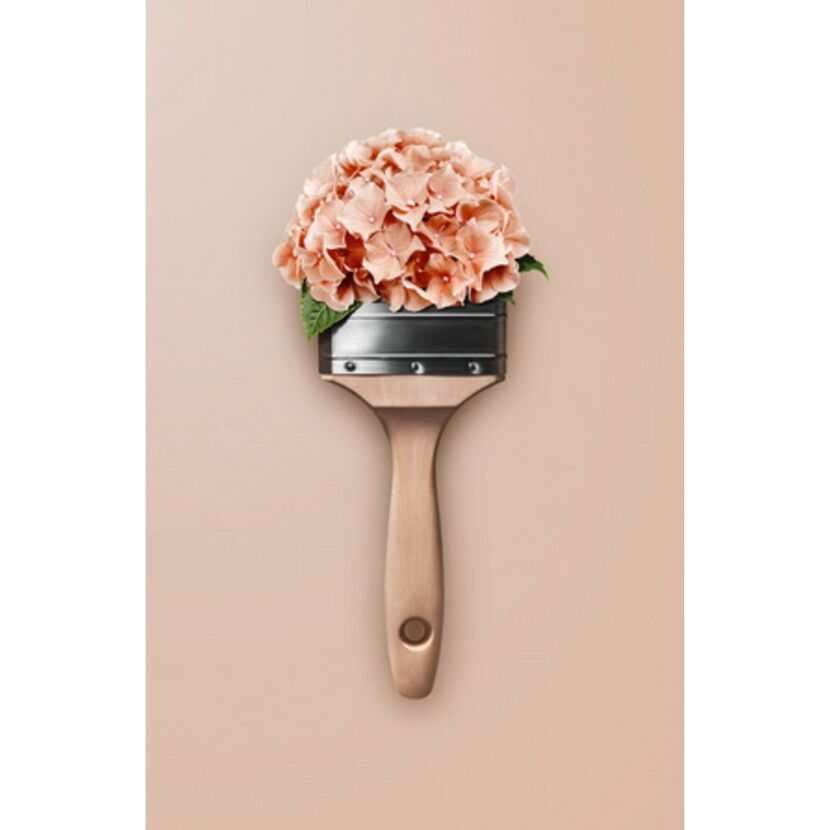 Pinsel mit Hortensienblüten