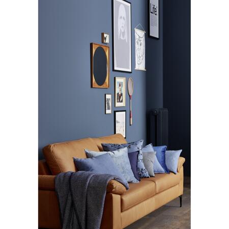 6. Bild von Trendfarbe 'Blueberry' blau matt 2,5 l