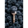 Pinsel mit Blaubeere auf Blaubeeren
