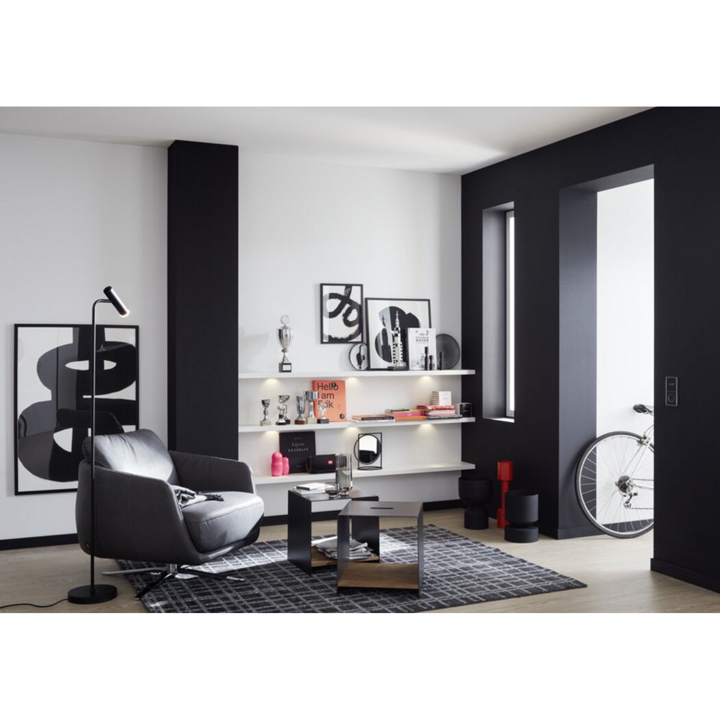 Wohnzimmer mit schwarzer Wandfarbe