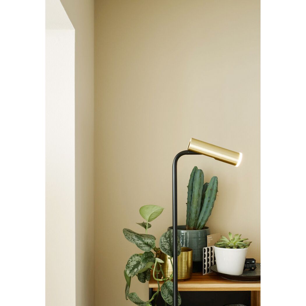 Schwarze Stehlampe mit goldenem Lampenschirm neben Pflanzen