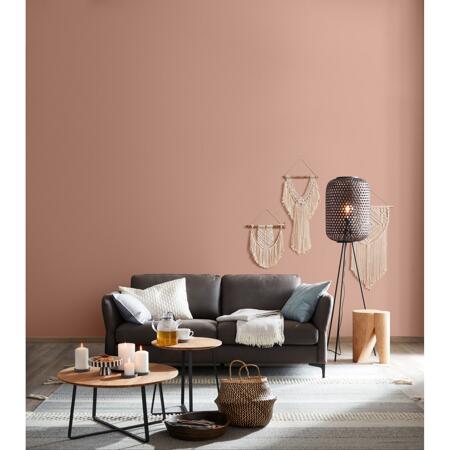 6. Bild von Trendfarbe 'Marokko' terrakottafarben matt 2,5 l