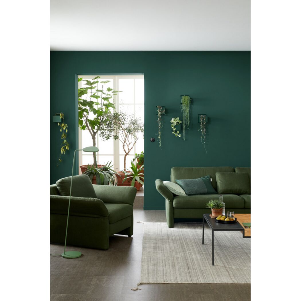 Wohnzimmer mit grüner Wandfarbe und Pflanzen
