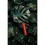 Monstera-Blätter und Farbrolle