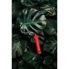 Monstera-Blätter und Farbrolle in rot