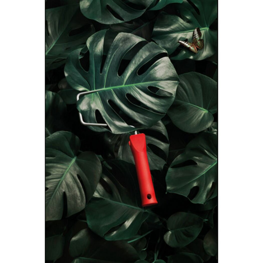 Monstera-Blätter und Farbrolle in rot