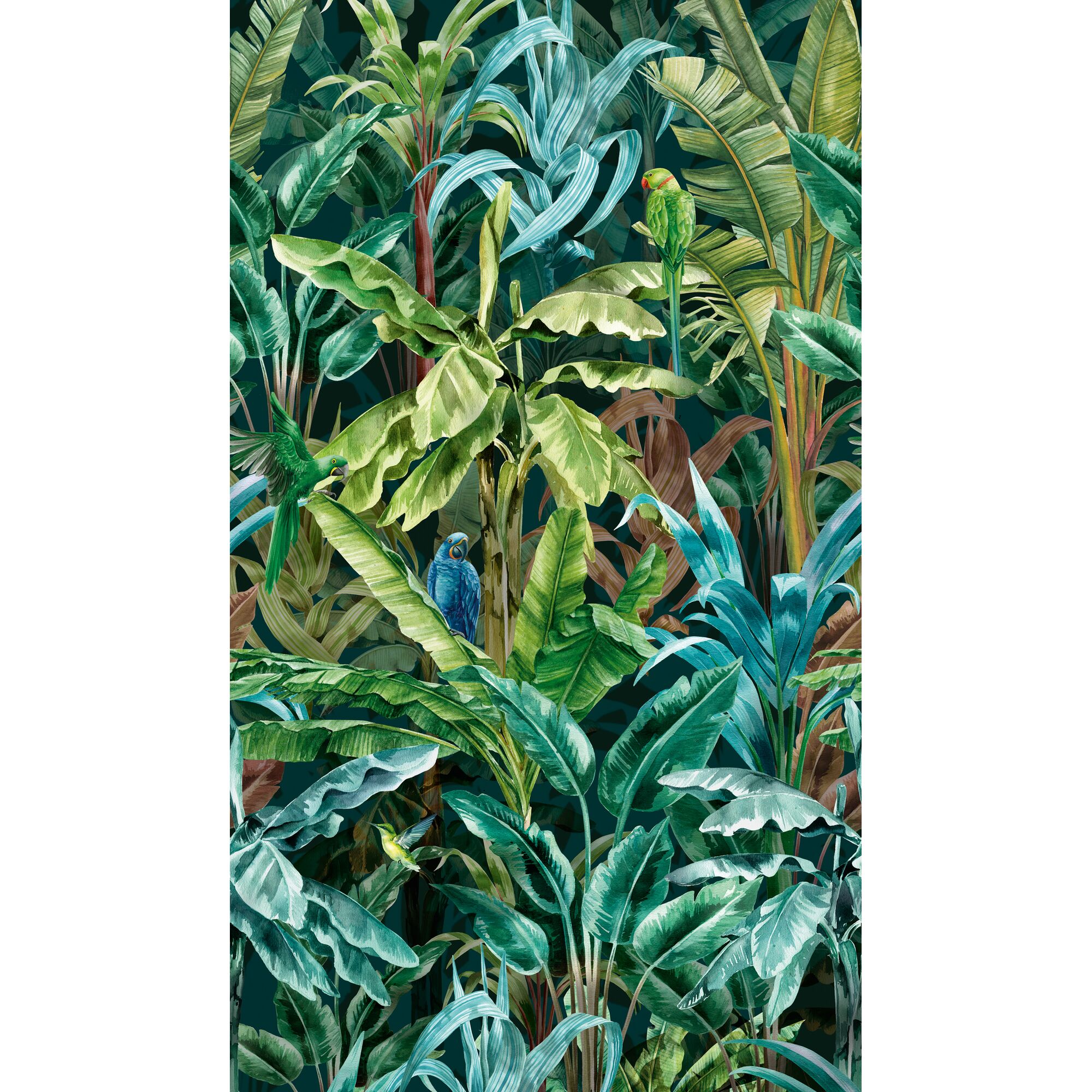 Tropische Blätter und Papageien