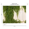 Weiße Wand mit Efeu Fototapete