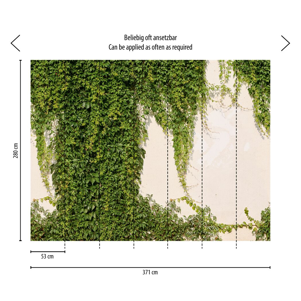 Weiße Wand mit Efeu Fototapete