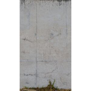 Vliestapete 'The Wall II' Betonoptik grau 3-teilig 159 x 280 cm