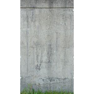 Vliestapete 'The Wall II' Betonwand Gras grau 3-teilig 159 x 280 cm