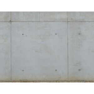 Vliestapete 'The Wall II' Betonmauer grau 7-teilig 371 x 280 cm