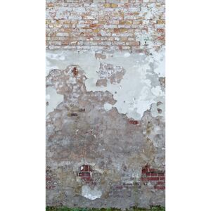 Vliestapete 'The Wall II' Stein Putz grau 3-teilig 1,59 x 2,80 m