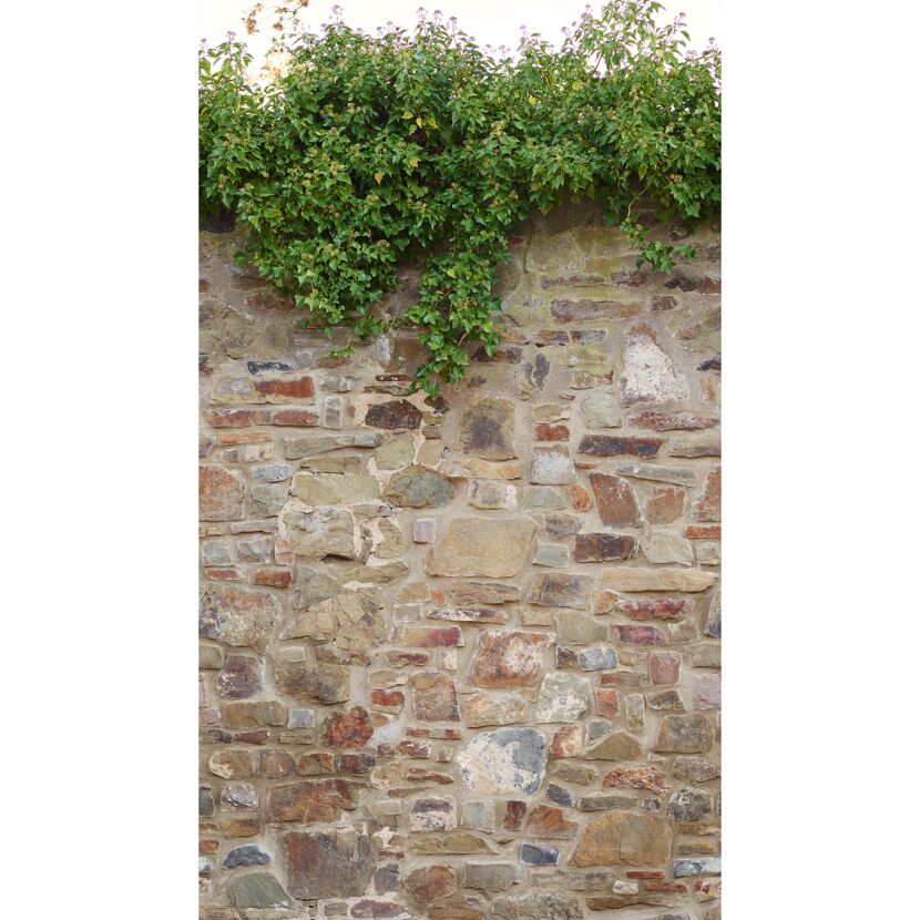 Bewachsene Steinmauer