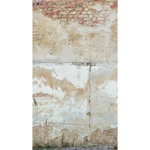 Vliestapete 'The Wall II' Vintage Beton grau 3-teilig 159 x 280 cm