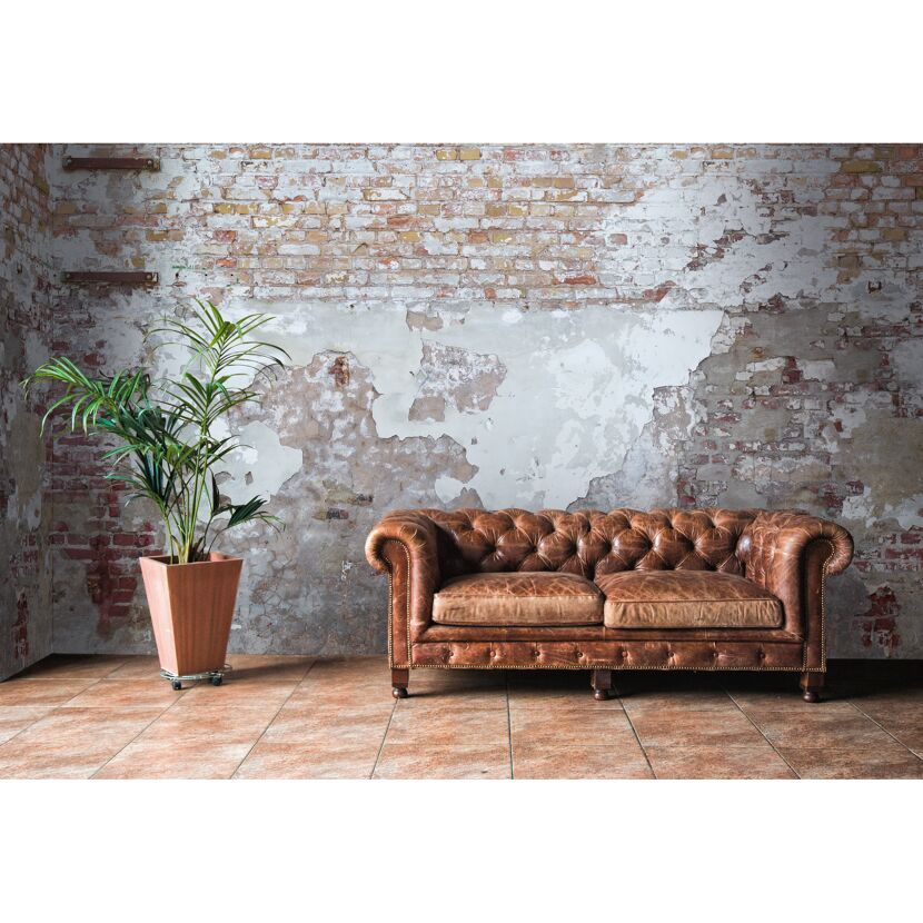 Ledersofa und Pflanze vor Backsteinwand