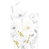 Skizze von Wildblumen