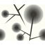 Verkleinertes Bild von Vliestapete "Contzen" Stern schwarz/weiß 10,05 x 0,53 m